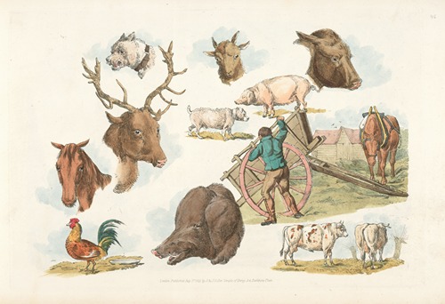 Heads of domestic and wild animals and full figure of a dog, pig, horse, cows and a cock; a working farmer