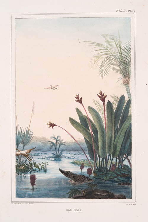 Éliconia