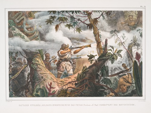 Sauvages civilisés, soldats indiens de Mugi das Cruzas (Province de St. Paul) combattant des Botocoudos