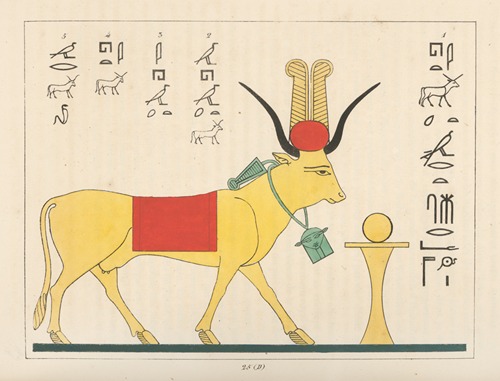 Aha, Ahi, Ahé ou Éhé [Ihet], la vache divine. 2