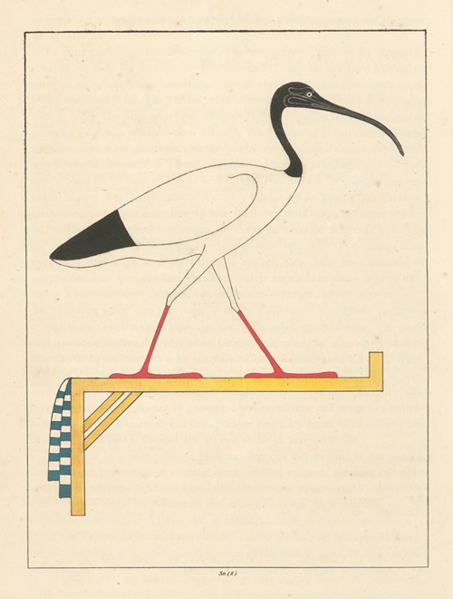 L’Ibis, emblême vivant de Thoth le second Hermès.