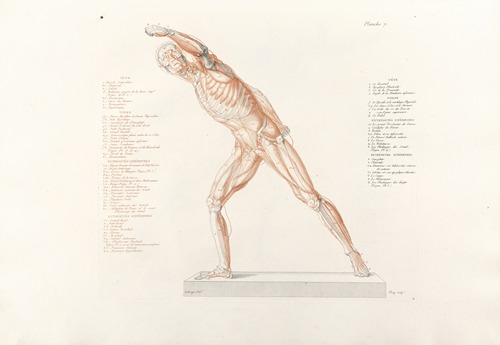 Anatomie du gladiateur combattant Pl.08