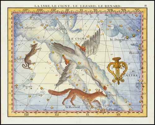 La Lyre, Le Cigne, Le Lezard, Le Renard (Lyra, Cygnus, Lacerta, Vupecula)