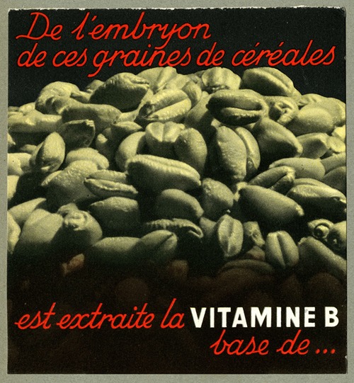 De l’embryon de ces graines de céréales