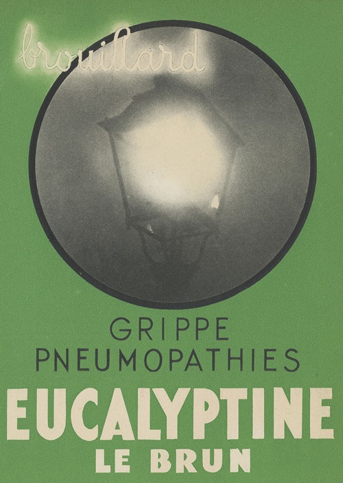 Eucalyptine Le Brun