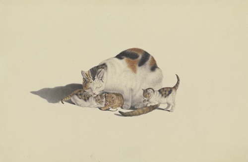 White cat, black and reddish brown spotted, with her three kittens playing with a mouse
