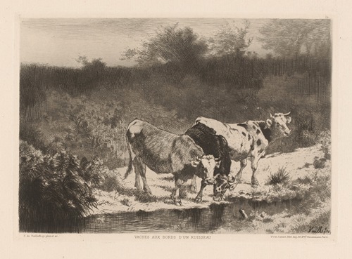 Vaches aux bords d’un ruisseau