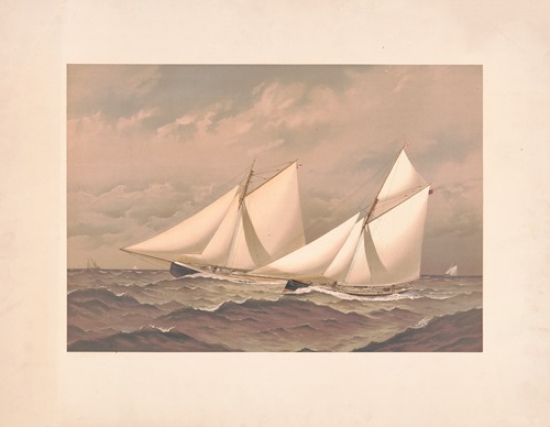 American yachts, extra plate, for the America’s Cup – 1885- near the finish, Purtian. Genesta