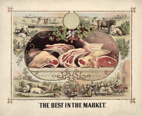 The best in the market