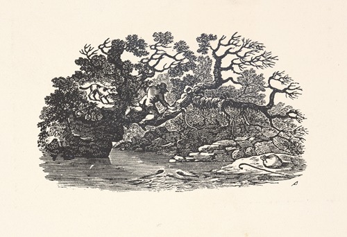 Man and dog in tree