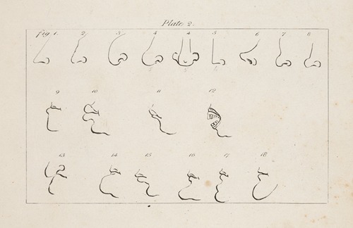 Eighteen studies of facial features