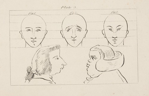 Three studies of heads above two profiles of male heads