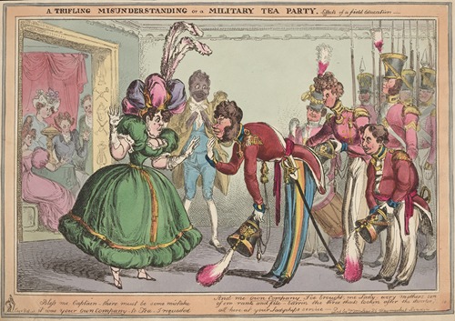 A trifling misunderstanding or a military tea party. Effects of a field education.