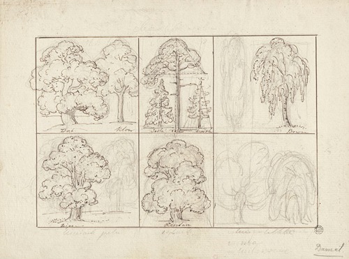 Designs for boards with drawings of tree species and tree leaves, on both sides