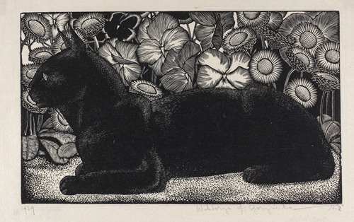 Black cat on flower background