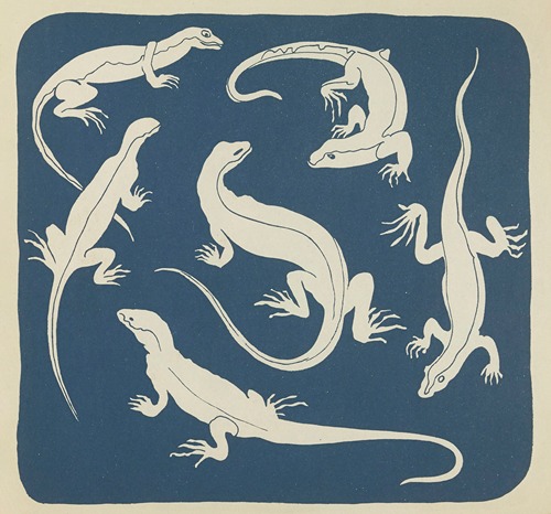 Nouvelles images à colorier, Reptiles Pl.11