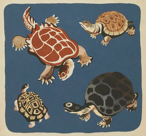 Nouvelles images à colorier, Reptiles Pl.16