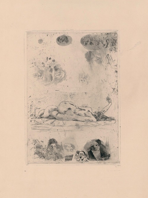 Feuille de nénuphar