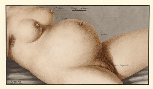 D’après nature (femme enceinte)