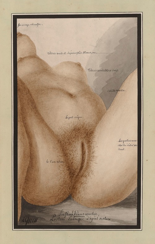 L’infame Vénus couchée. Posture lubriques d’après nature