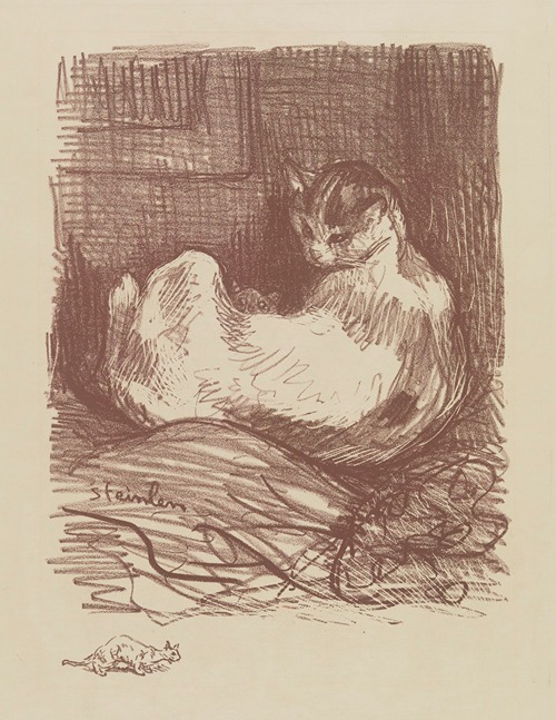 Mère chatte