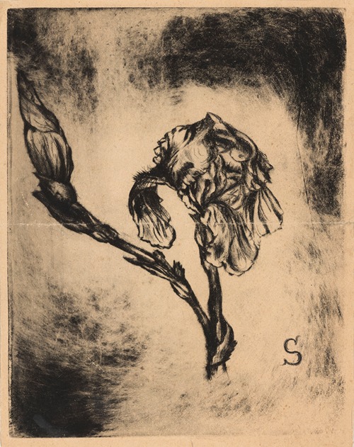 L’Iris bleu