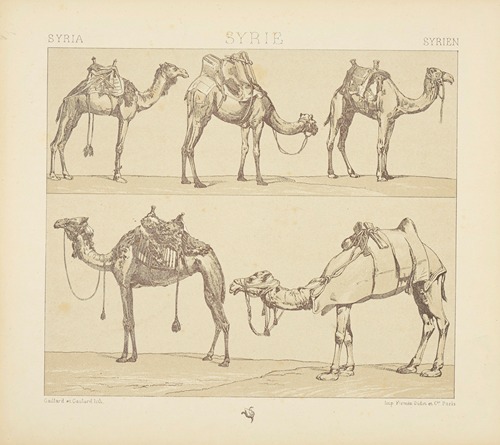Montures et animaux de transport