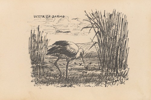 Uczta za darmo