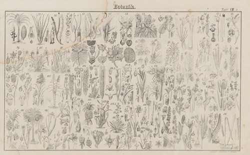 Atlas der Abbildungen Pierer’s Universal Lexikon Pl.09