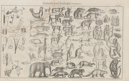 Atlas der Abbildungen Pierer’s Universal Lexikon Pl.14