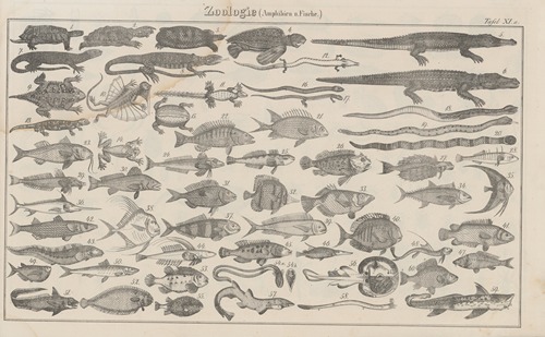 Atlas der Abbildungen Pierer’s Universal Lexikon Pl.16