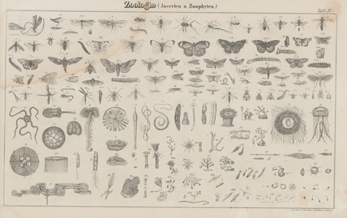 Atlas der Abbildungen Pierer’s Universal Lexikon Pl.18