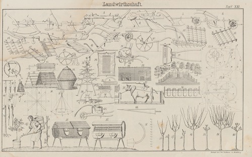 Atlas der Abbildungen Pierer’s Universal Lexikon Pl.31
