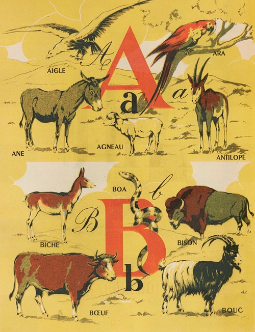 L’A. B. C. par les images Pl.02