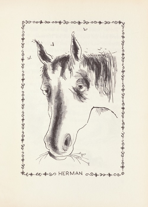 Paul’s Horse Herman Pl.02