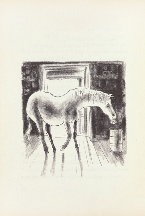 Paul’s Horse Herman Pl.07