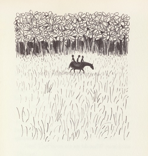 Paul’s Horse Herman Pl.12