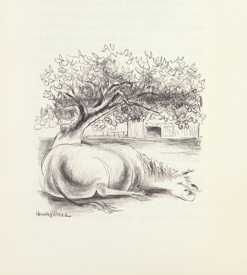 Paul’s Horse Herman Pl.15