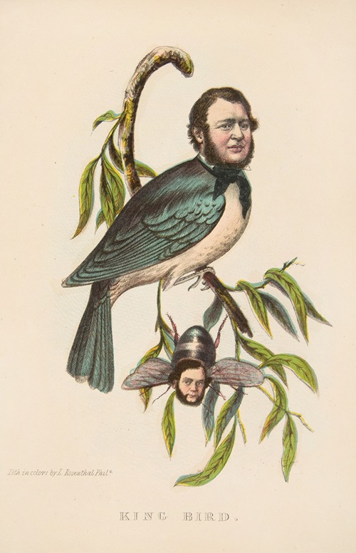 King Bird (Robert P. King and Alexander Baird)