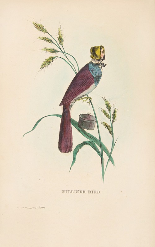 Milliner Bird (Minnie Doyle)