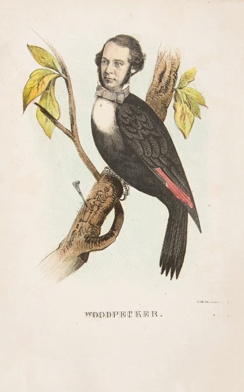 Woodpecker (William B. Gihon)