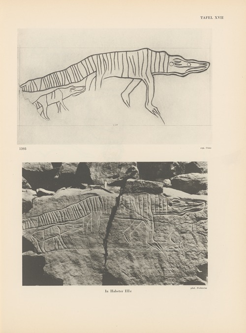 Ekade Ektab die Felsbilder Fezzans Pl.20