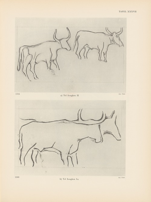Ekade Ektab die Felsbilder Fezzans Pl.36