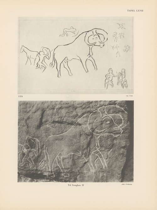 Ekade Ektab die Felsbilder Fezzans Pl.62