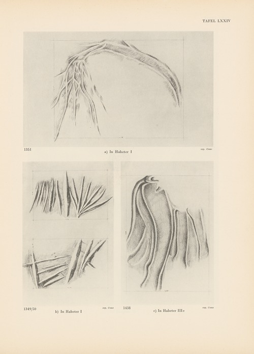 Ekade Ektab die Felsbilder Fezzans Pl.68