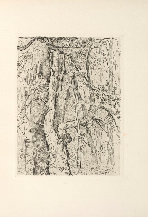 Le centaure suivi de la Bacchante Pl.02