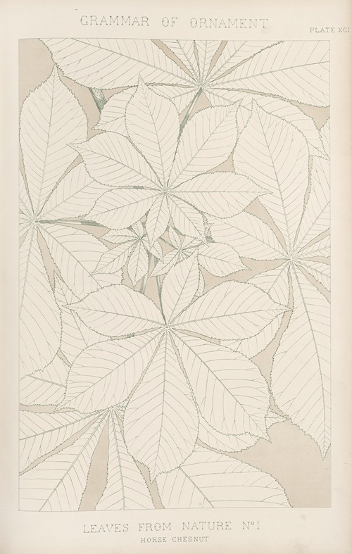 Leaves from Nature No. 1