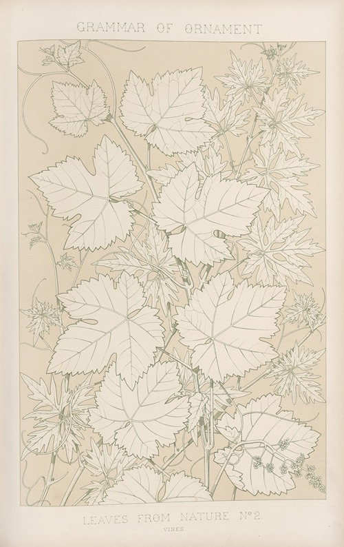 Leaves from Nature No. 2