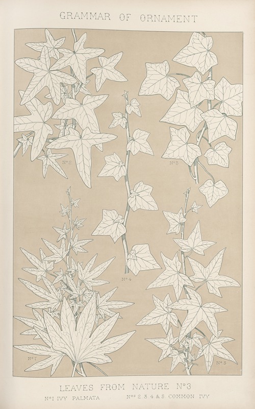 Leaves from Nature No. 3