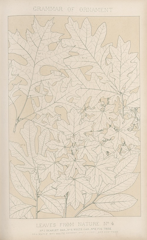 Leaves from Nature No. 4
